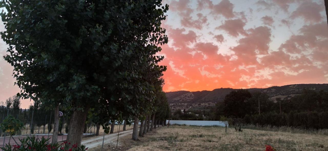 Villa Aljara ロンダ エクステリア 写真